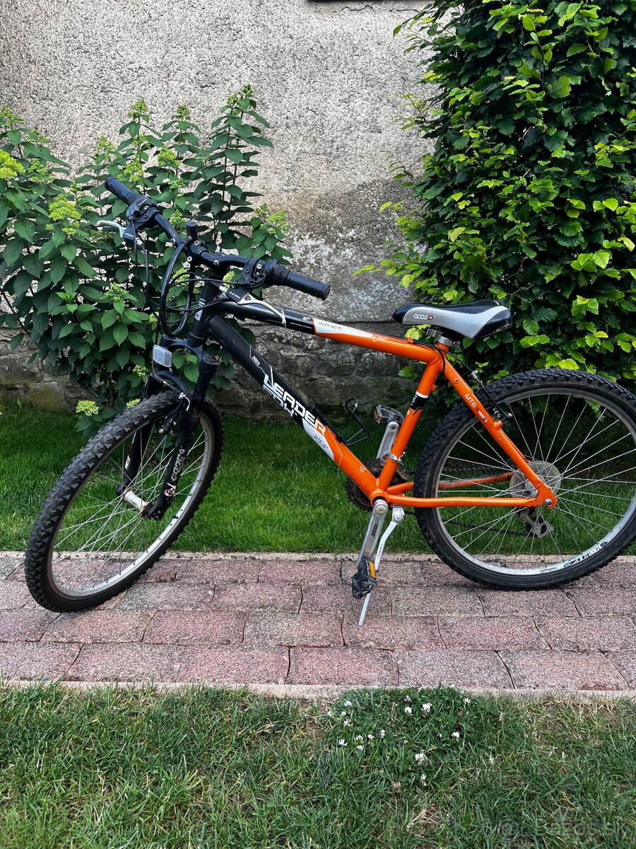 Bicykel 100€