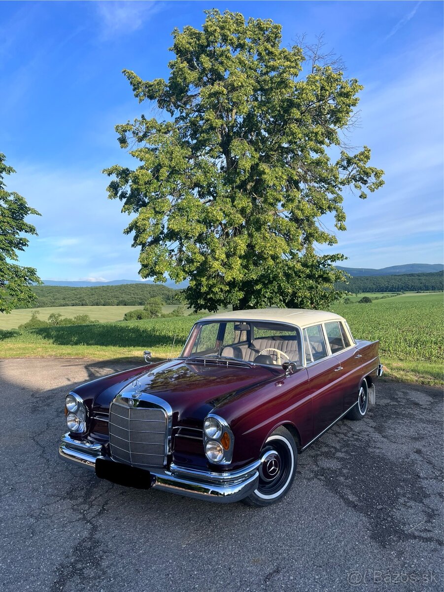 Mercedes Benz 220S 1963