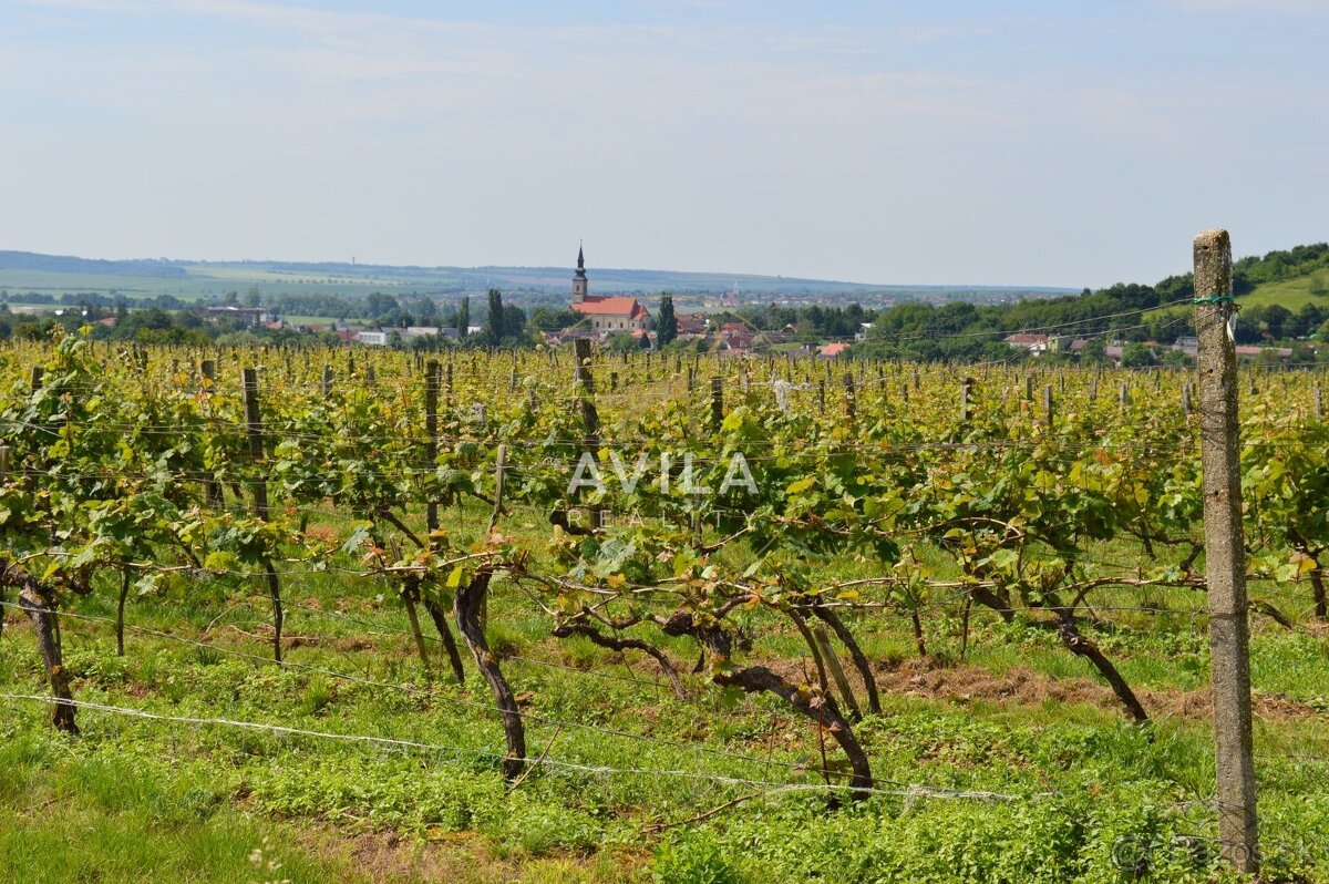 NA PREDAJ: vinohrad o výmere 4740m2 - Horné Orešany