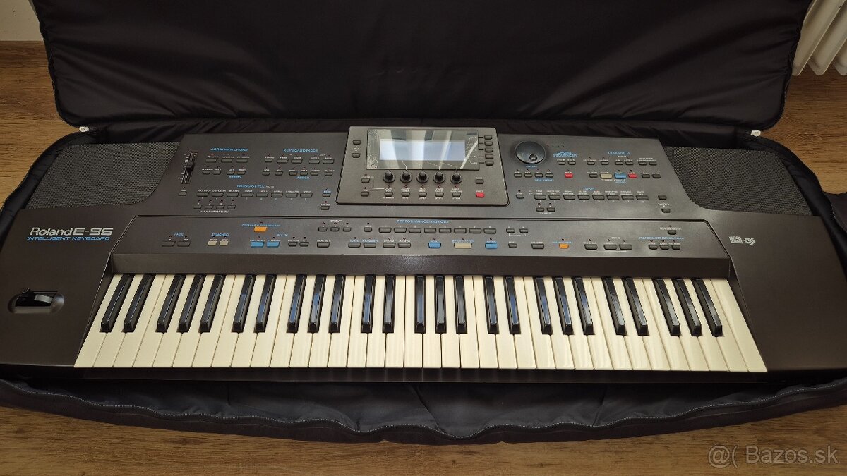 Roland E-96 + puzdro