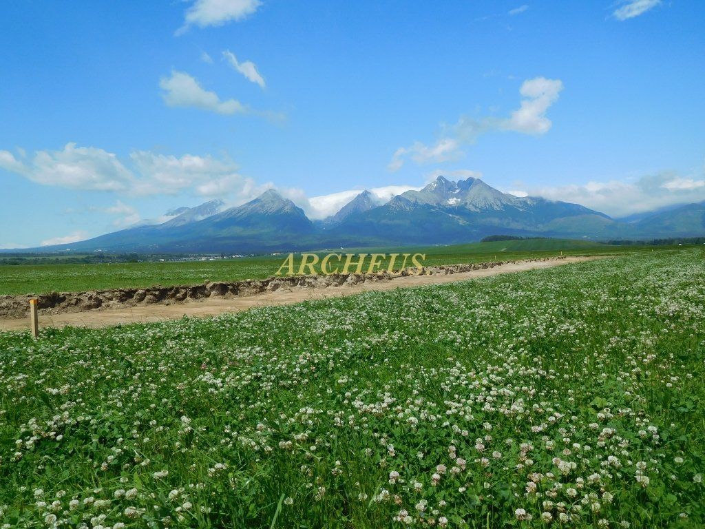 Exkluzívne/na predaj pozemok, orná pôda 5874m2,Veľká Lomnic