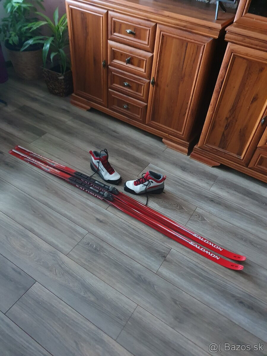 Predam bezkovy set,SALOMON,183 cm,SNS,c.41,supiny