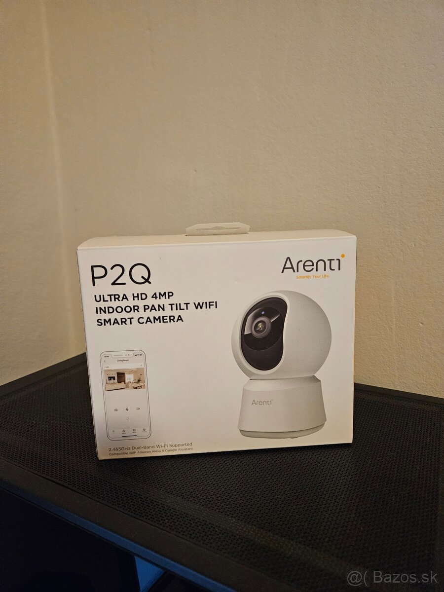 Kamera Arenti P2Q