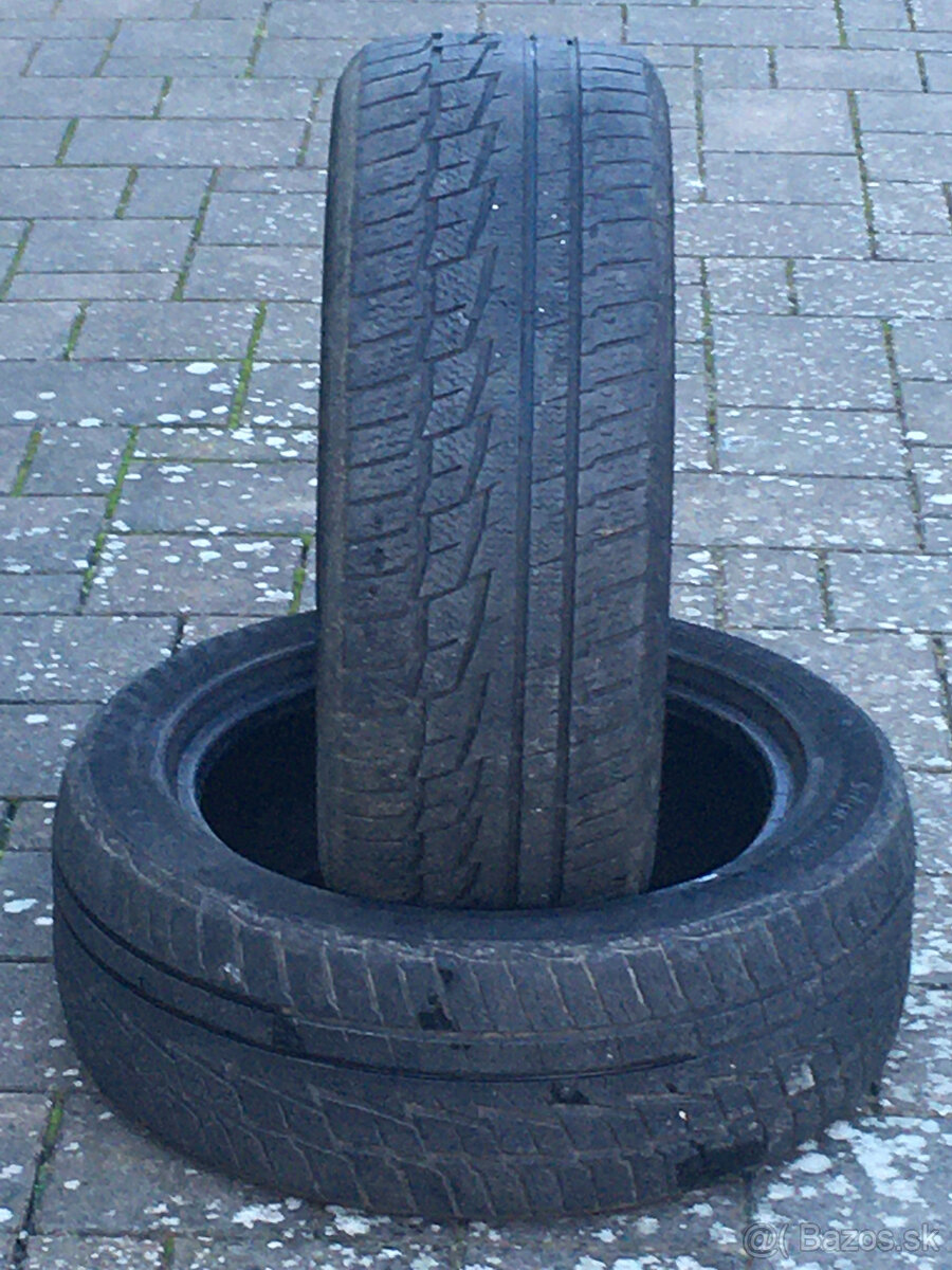 225/50 r17 zimne