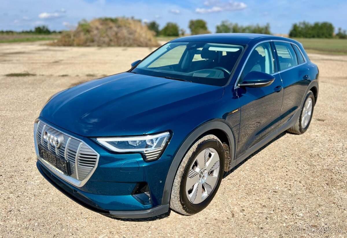 Audi e-tron 230kW 2020 50 quattro