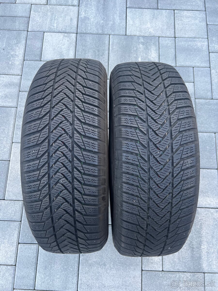 Esa+ Tecar 215/65 R16 zimné