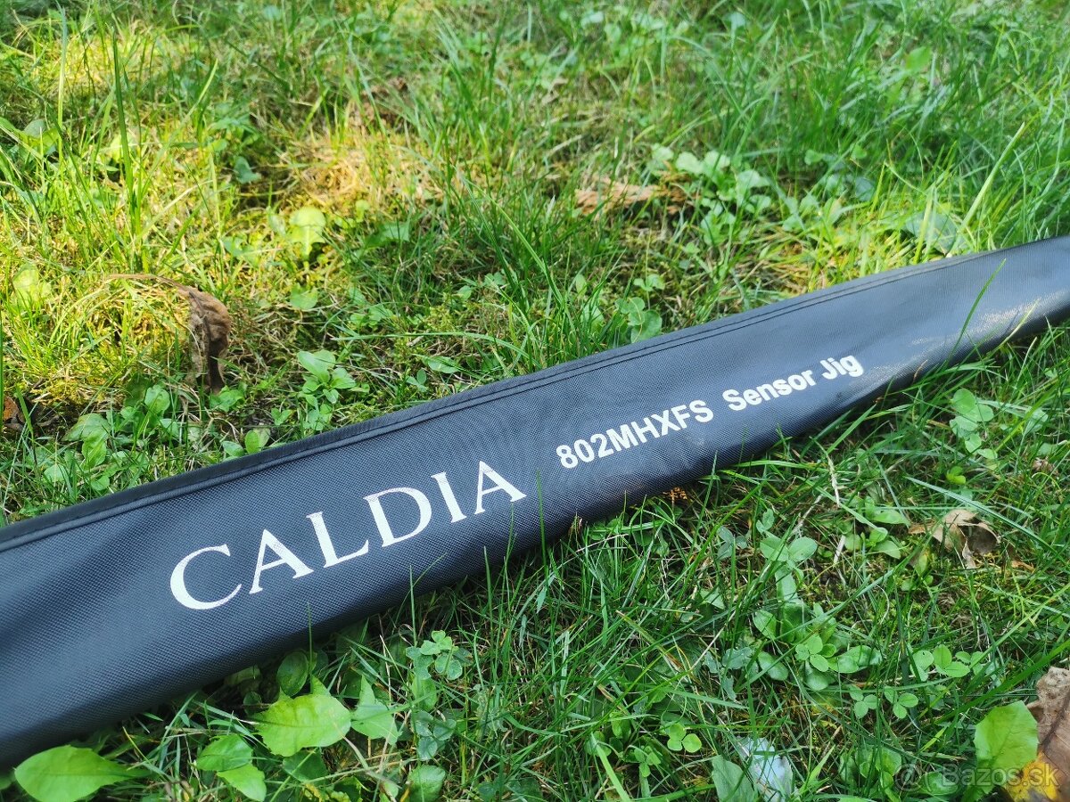 Daiwa Caldia sensor jig 240cm