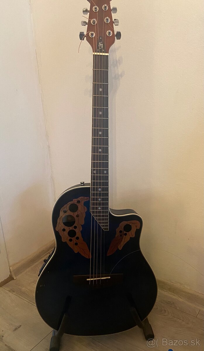 Elektro Akustická gitara