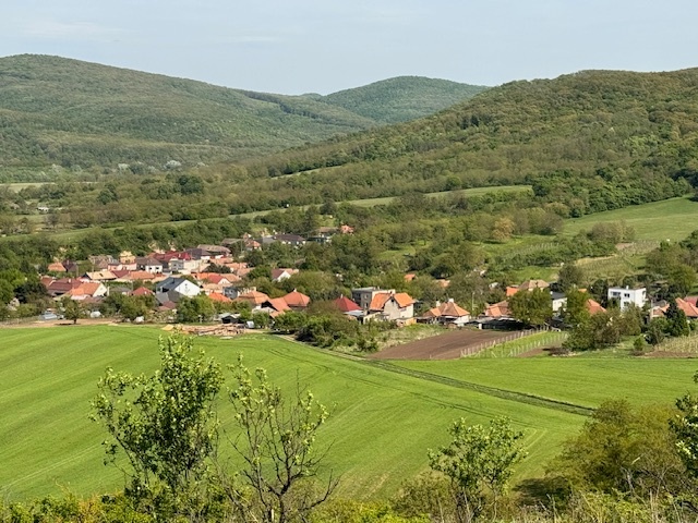 Predaj- RD vo vidieckom štýle v obci Leľa, 10 km od Štúrova