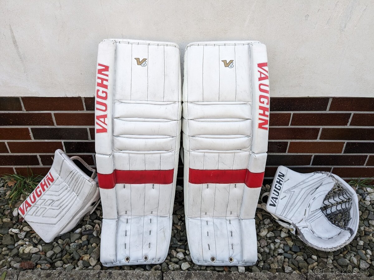 Brankarsky set VAUGHN Velocity Carbon pro