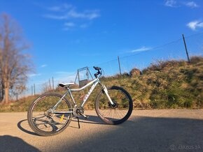 Dámsky bicykel TOTEM