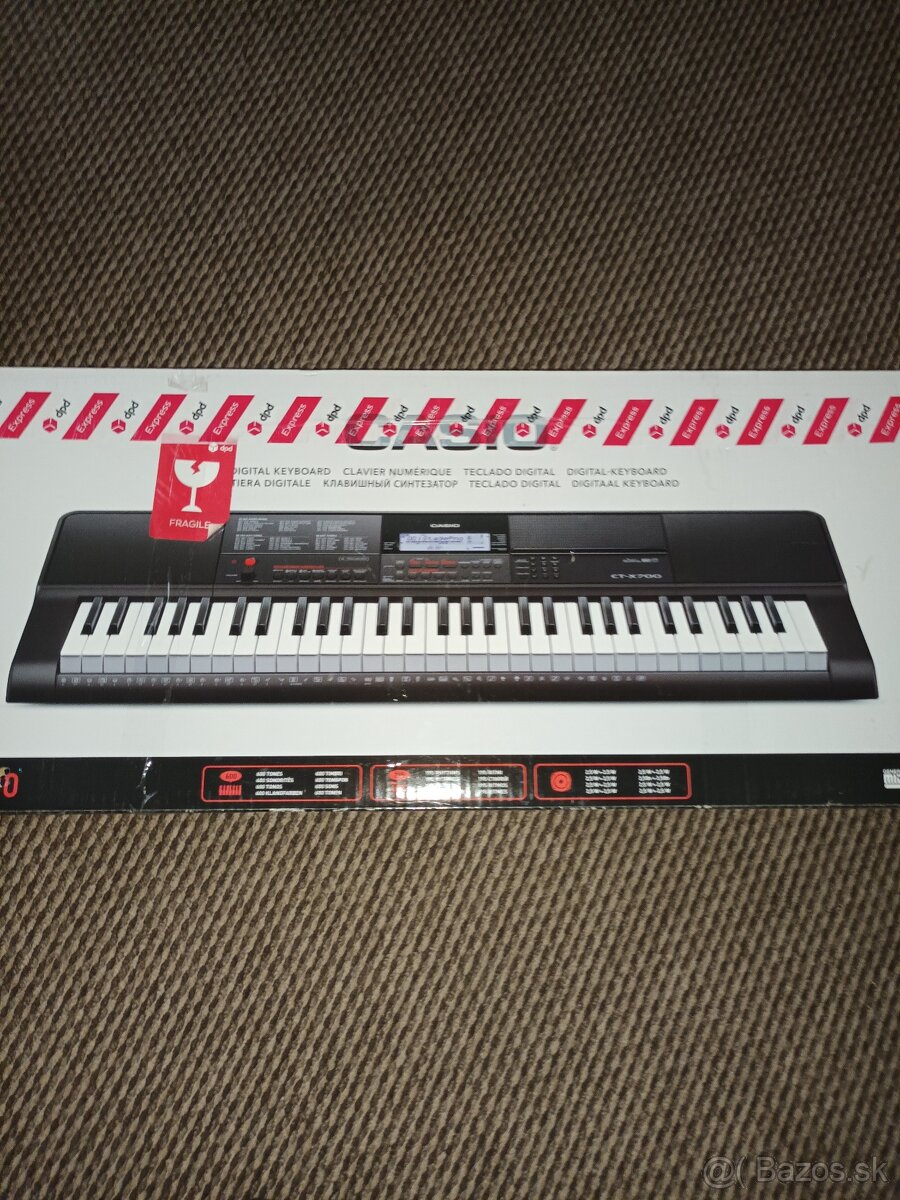 Casio ct-x700