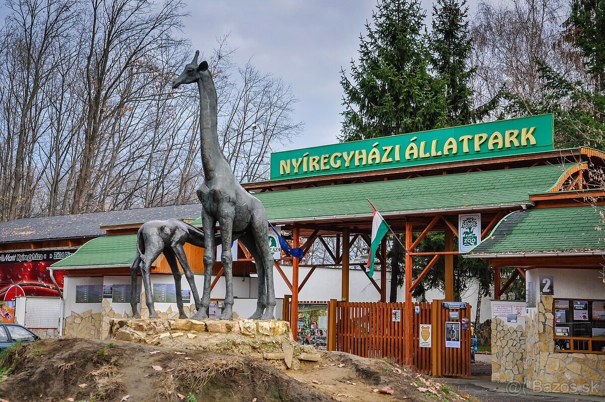 nyiregyhaza ZOO