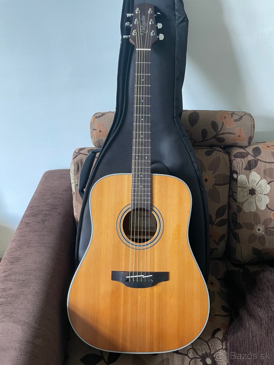 Takamine GD20 NS