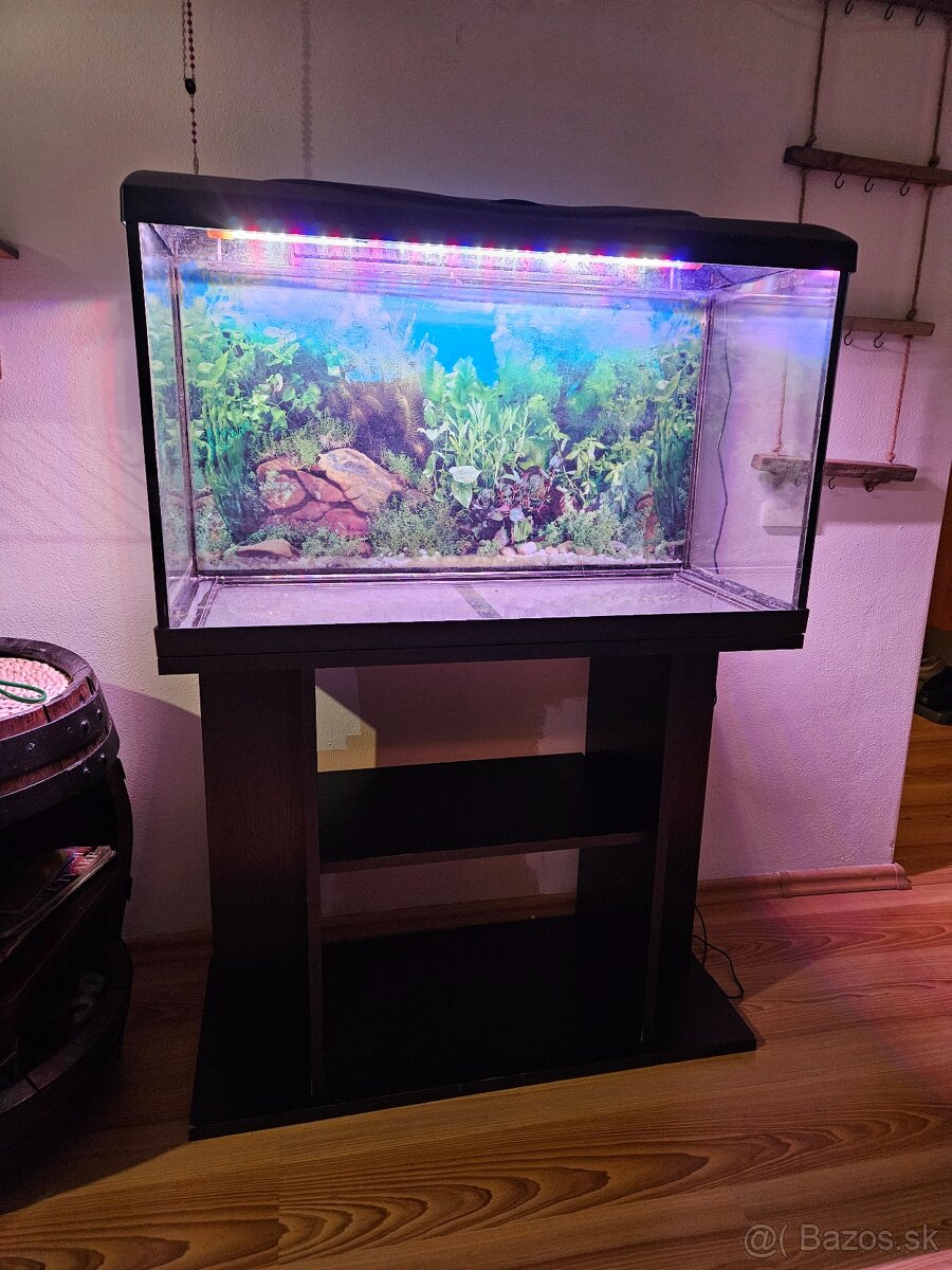 Akvarium 100l