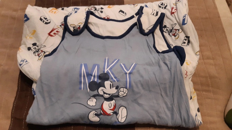 Spací vak Mickey