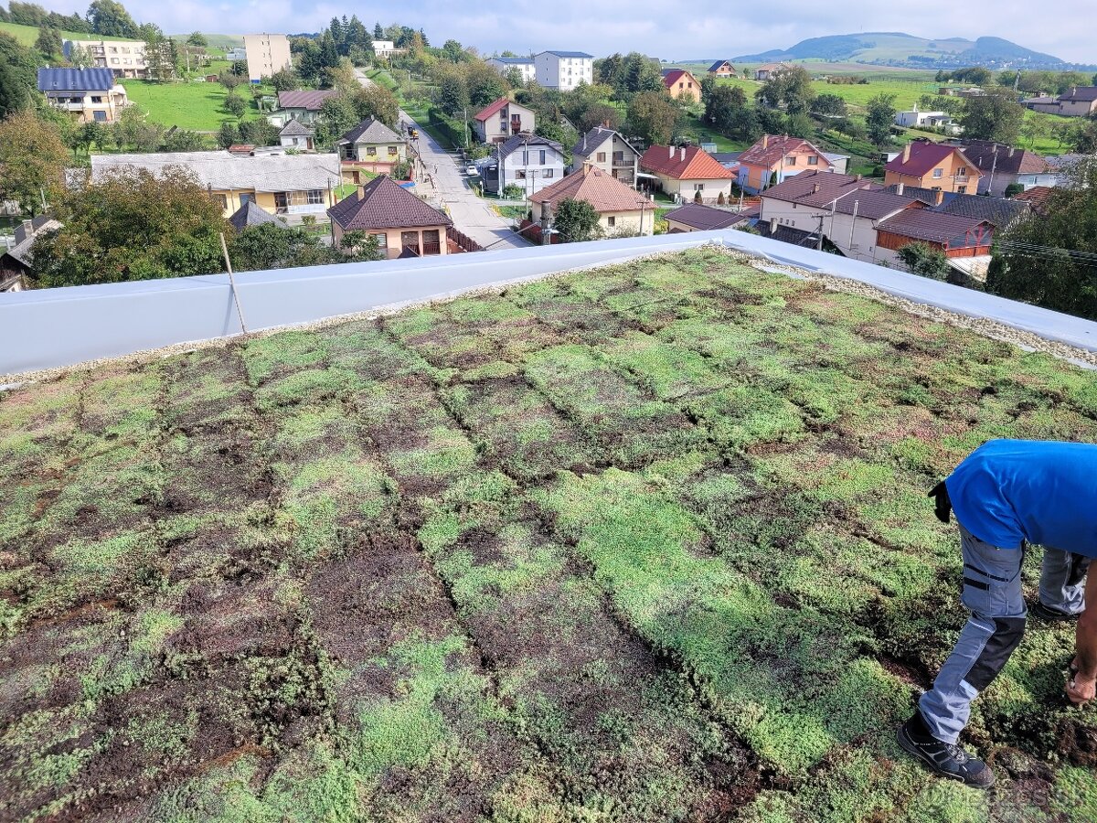 PVC-Fóliové strechy - zelené ploché vegetačné