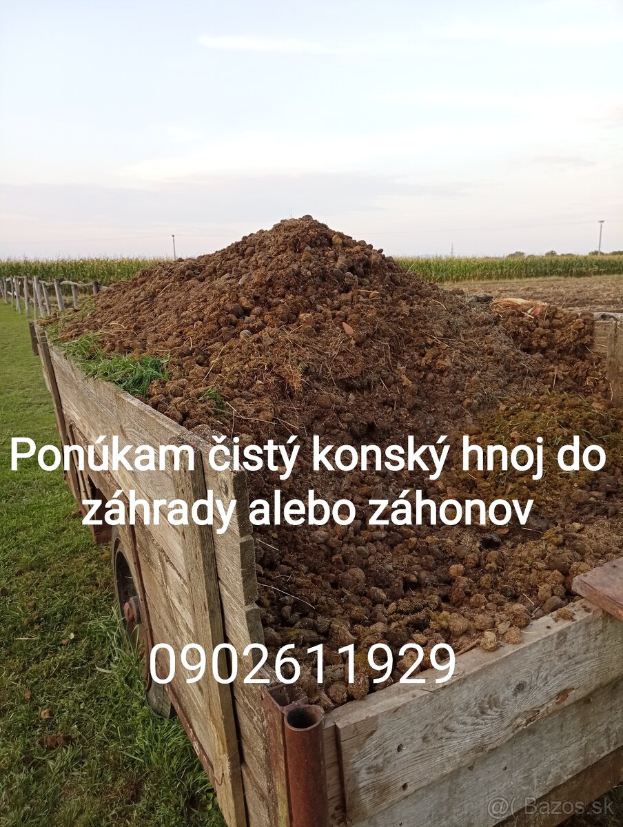 Predám konský hnoj.