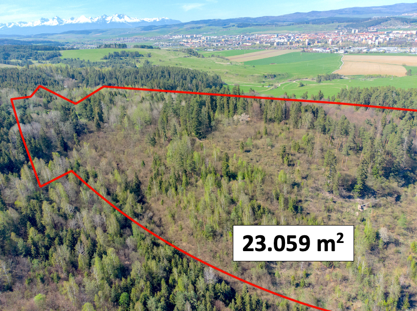 Spišská Nová Ves 23.059 m2 – LES 1/1 vo výlučnom vlastníctve