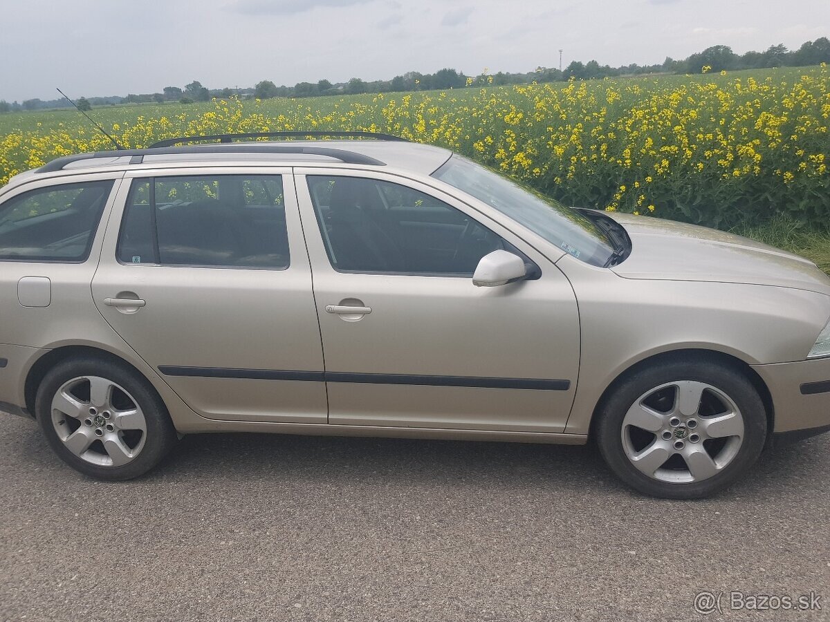 Rozpredam Skoda Octavia 2 1,9 tdi 77kw farba 9202,9201,