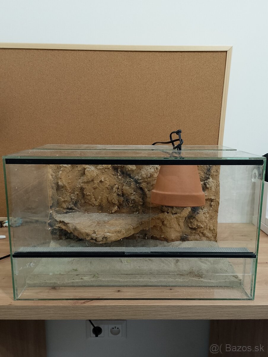 Terarium