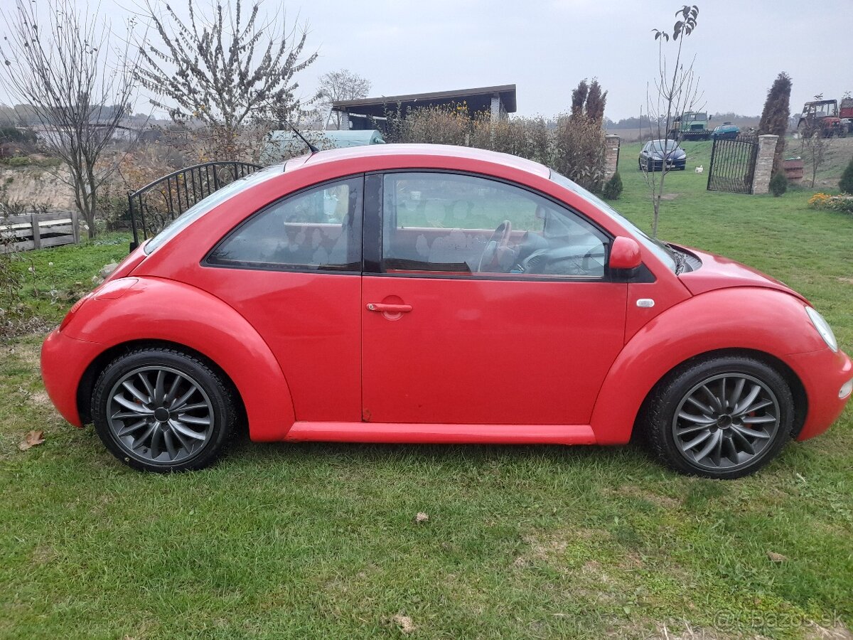 New beetle