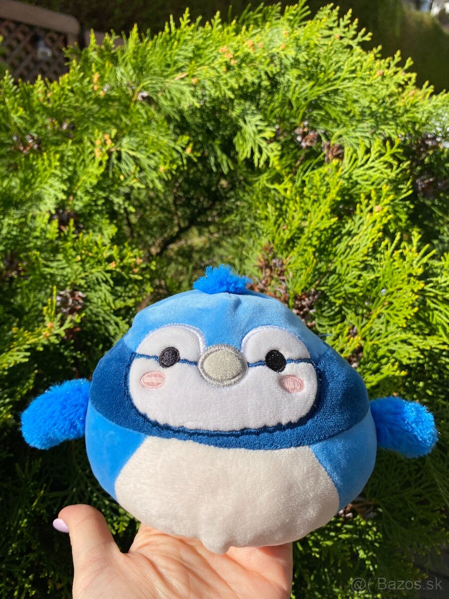 Squishmallows 13 cm 2v1 Babs sojka a Paco papagáj