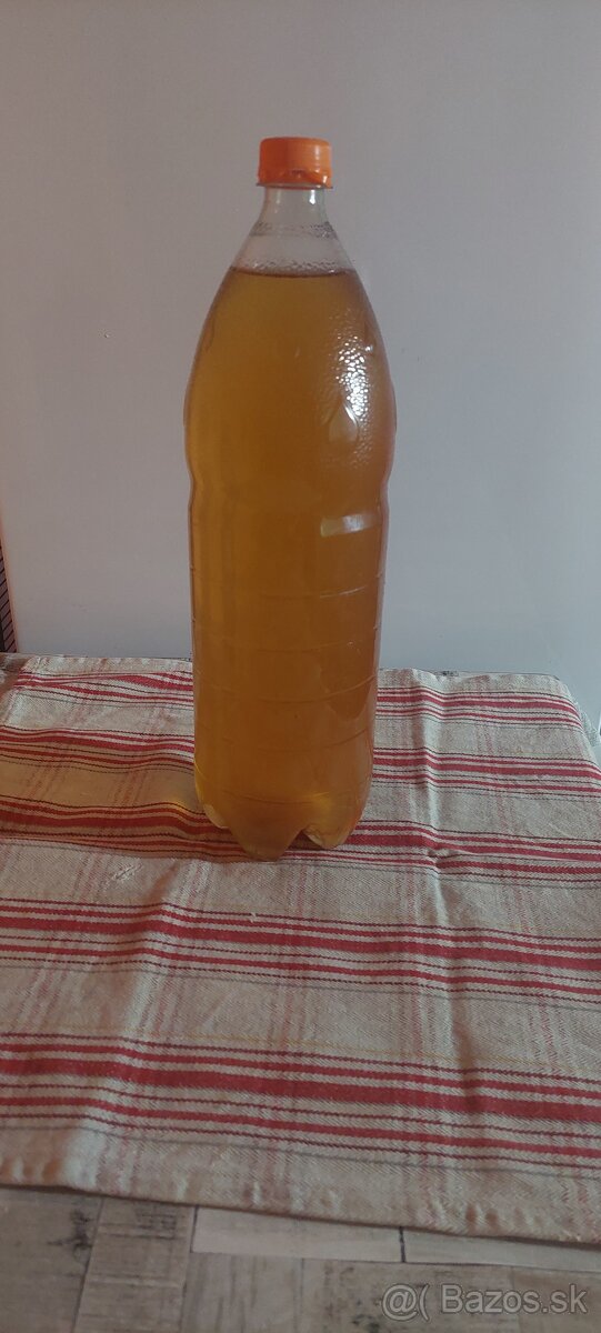 PREDÁM NÁPOJ KOMBUCHA