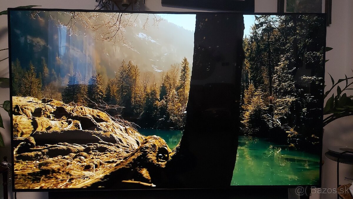 Televízor LG OLED55CX