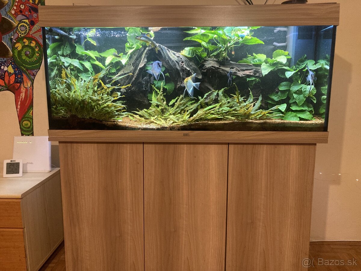 Akvarium Juwel Rio 240 l