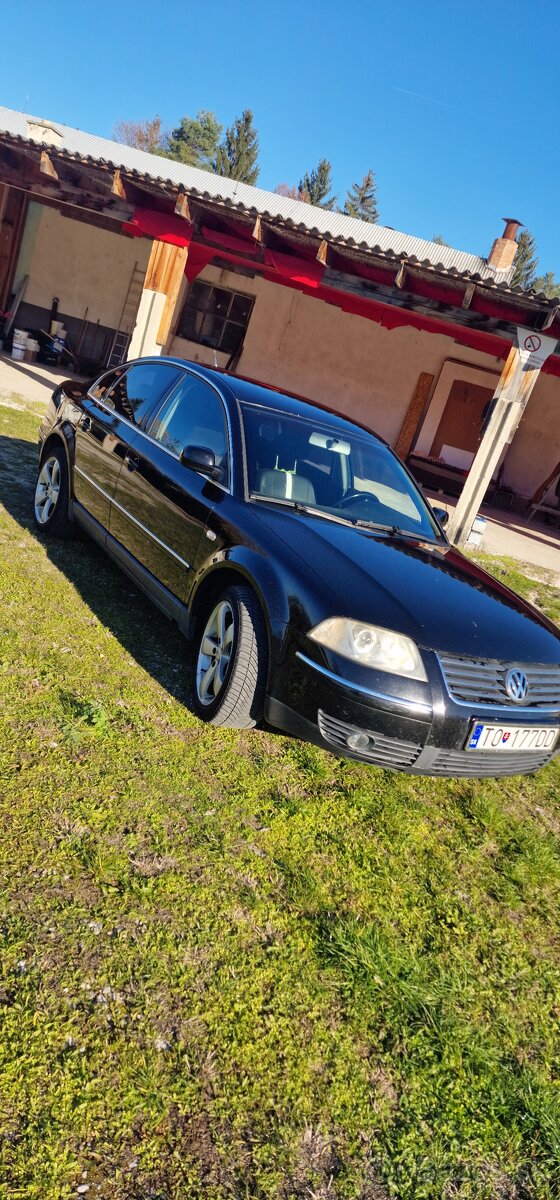 VW Passat