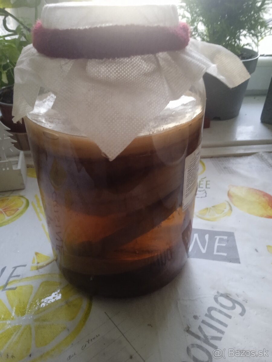 Kombucha