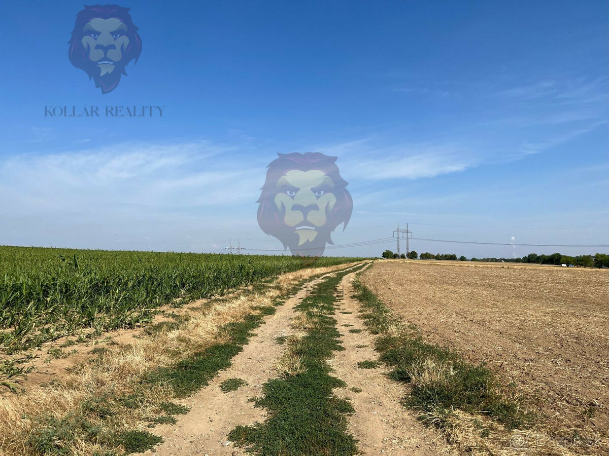 Na predaj rozľahlý pozemok Vinohrady nad Váhom