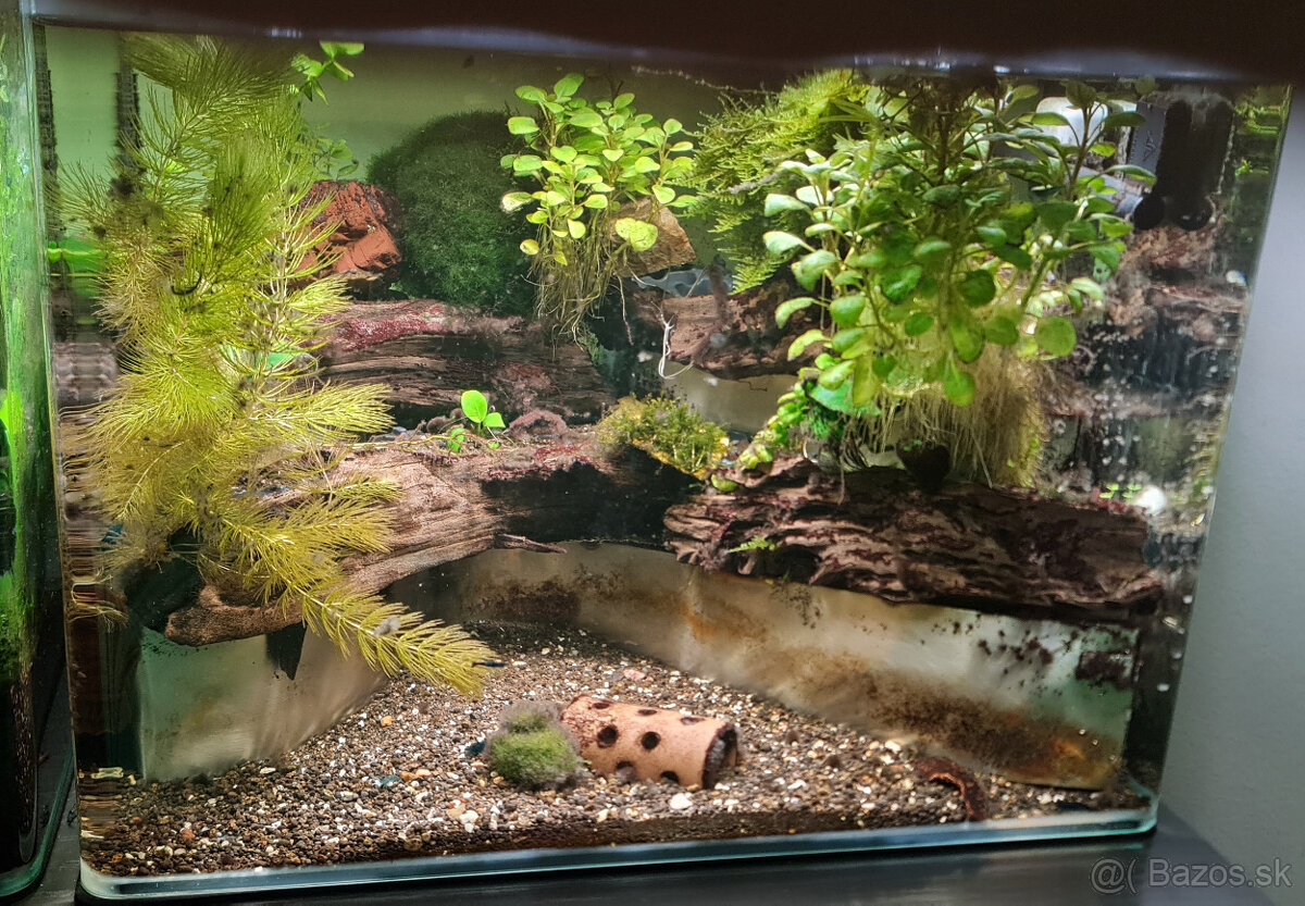 Predam akvarium Dennerle so zaoblenými rohmi 55L
