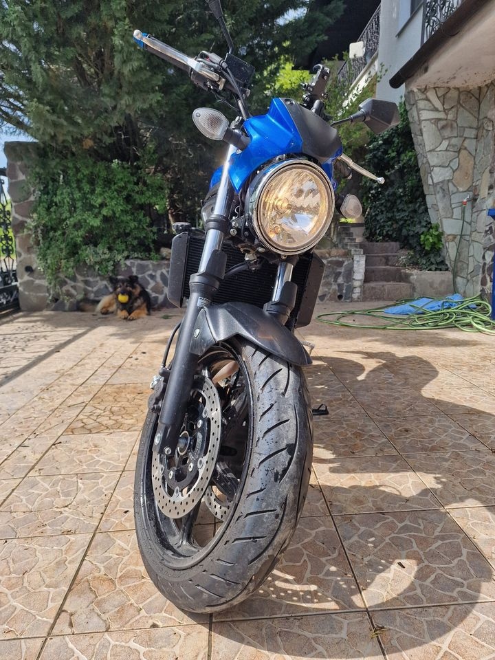 Suzuki SV650 2018