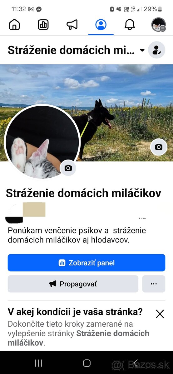 Strazenie domácich miláčikov