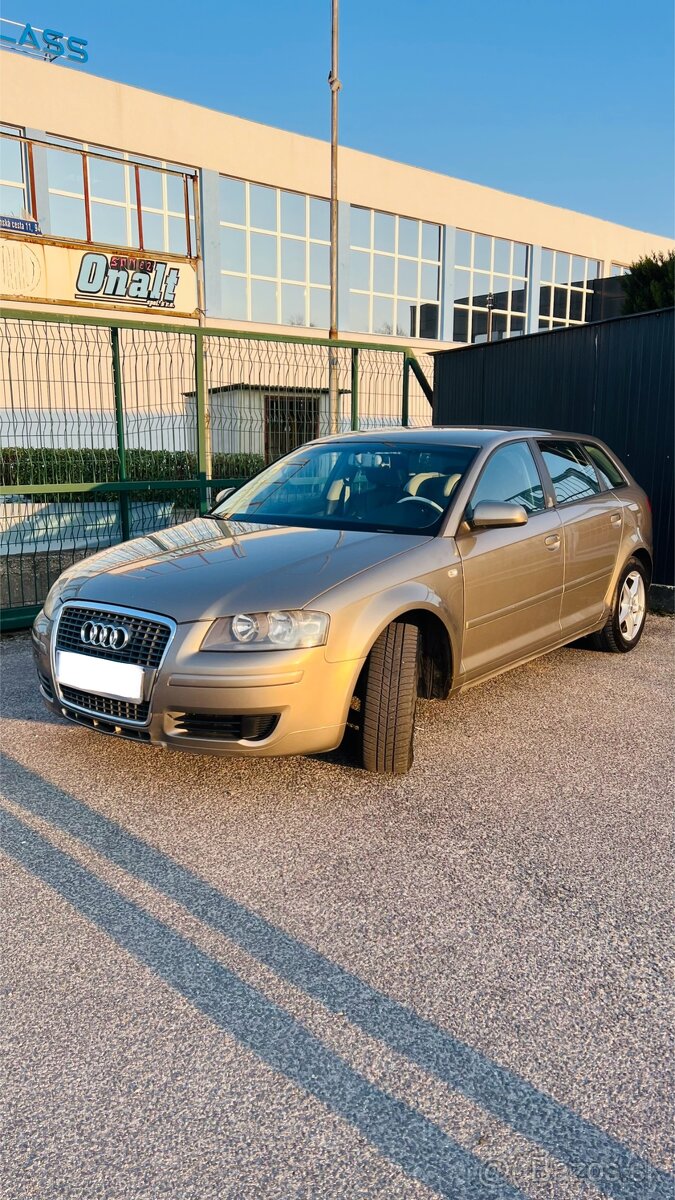 Audi A3 8P 1.9TDI