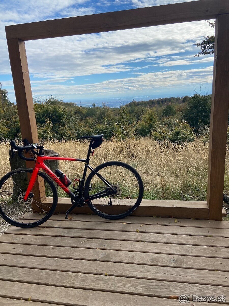 Specialized Roubaix 54