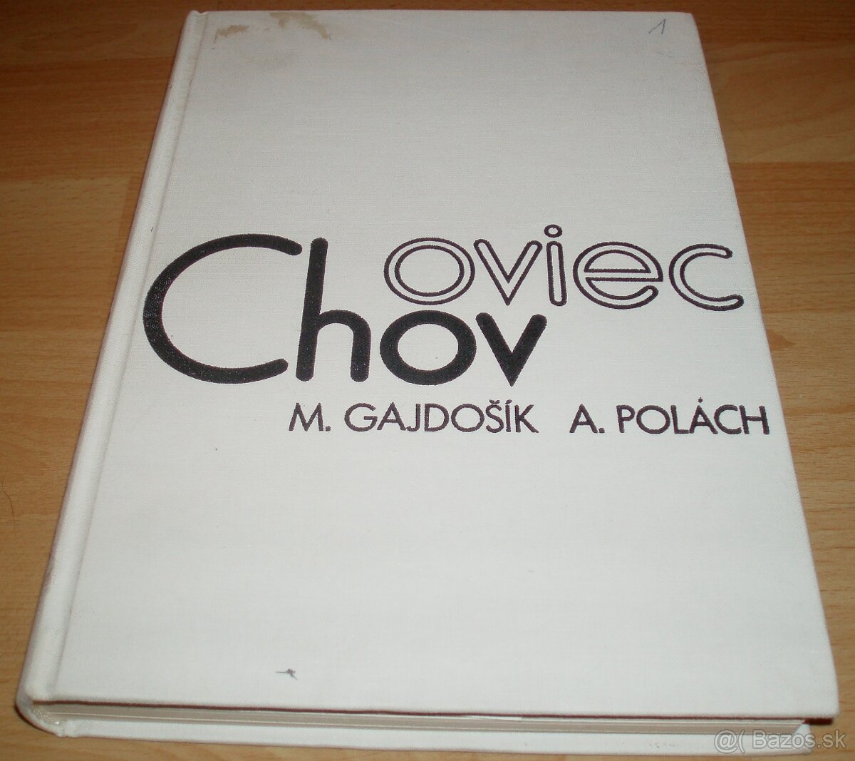 Chov oviec