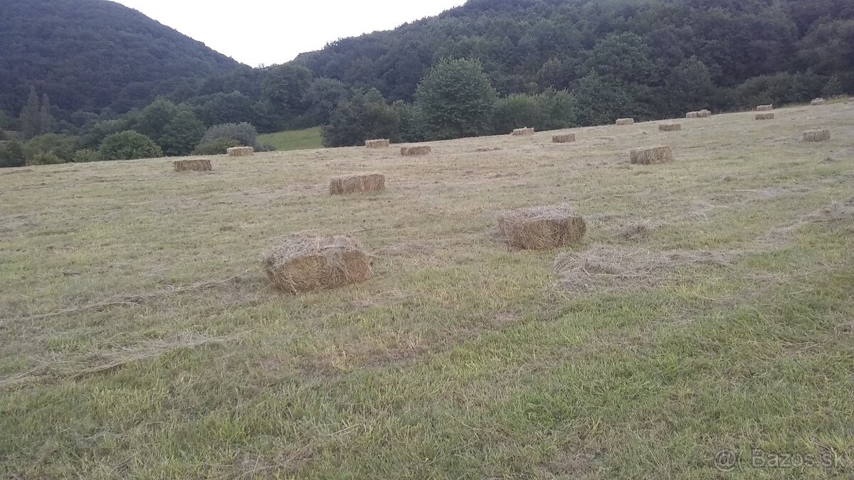 Predám kvalitné horské seno v malých balíkoch cena za balík