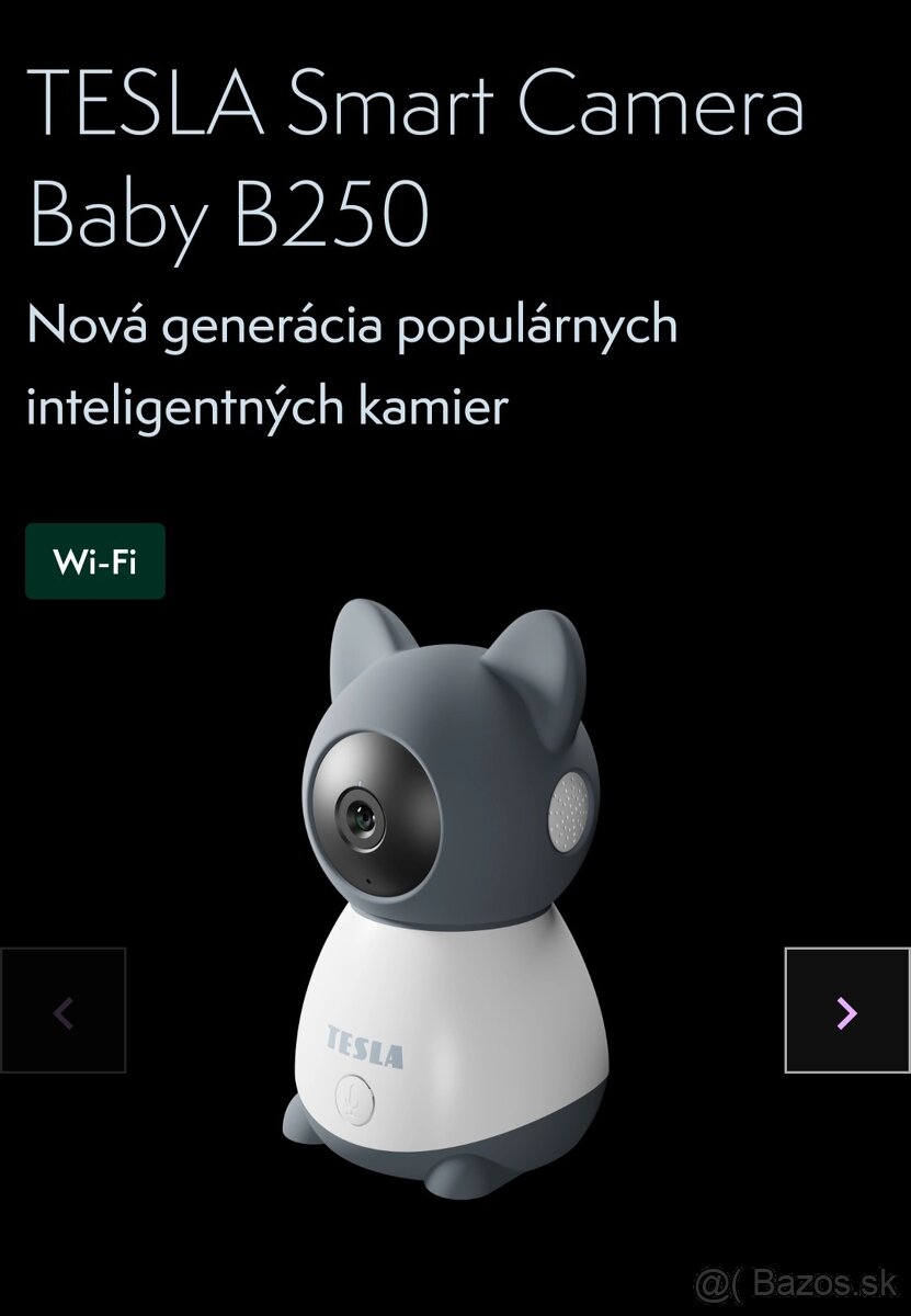 TESLA Smart Camera Baby B250