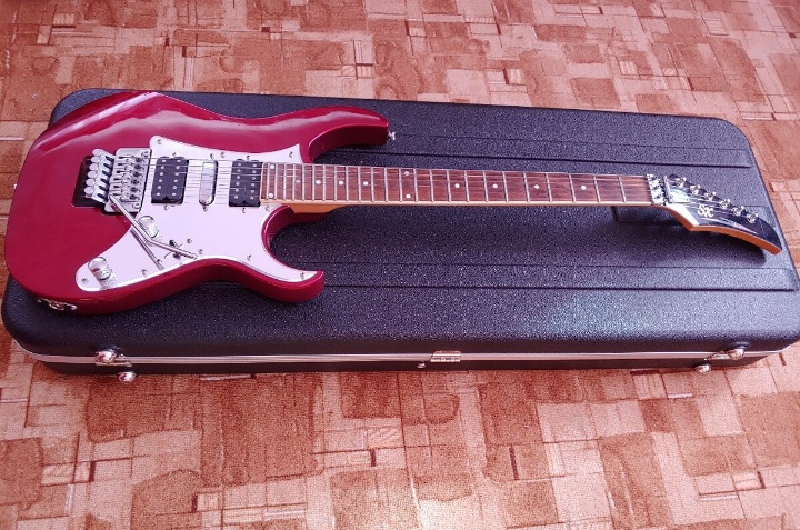 Elektrická gitara SX SEG1