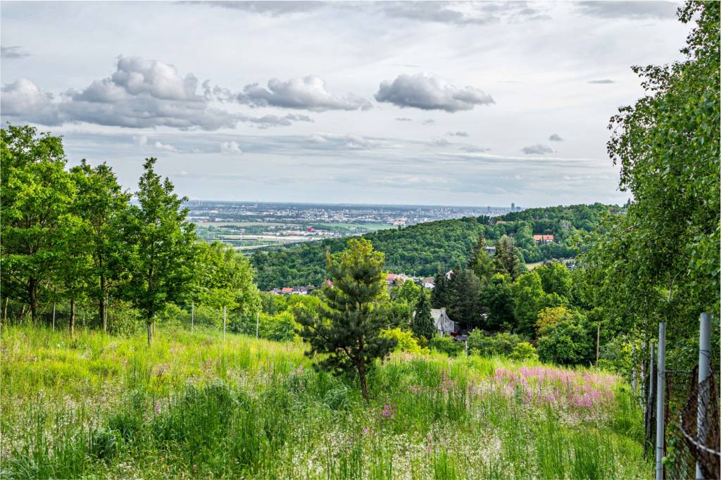 TOREA - POZEMOK NA PREDAJ - 2575 m2 - SVÄTÝ JUR, OKRES PEZIN