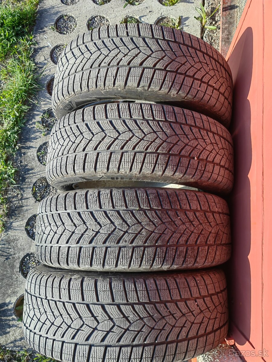 225/55 R19 zimné