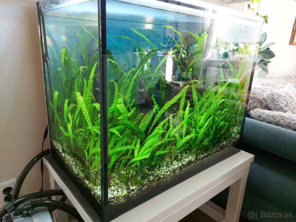 Akvarium 240L  80x50 - výška 60cm