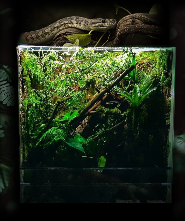 Terarium 100x50x120 prírodné