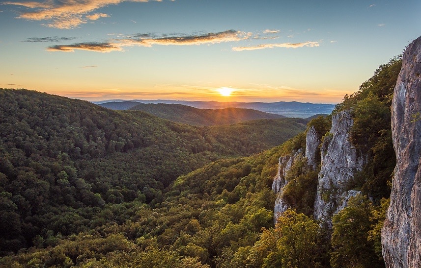 Dubnica nad Váhom – 374 m2 LES a PÔDA - PREDAJ