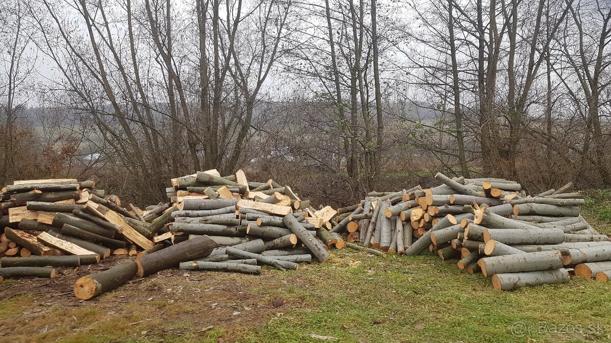 Predavam palivove drevo buk breza jedla cena za 1,m 45e