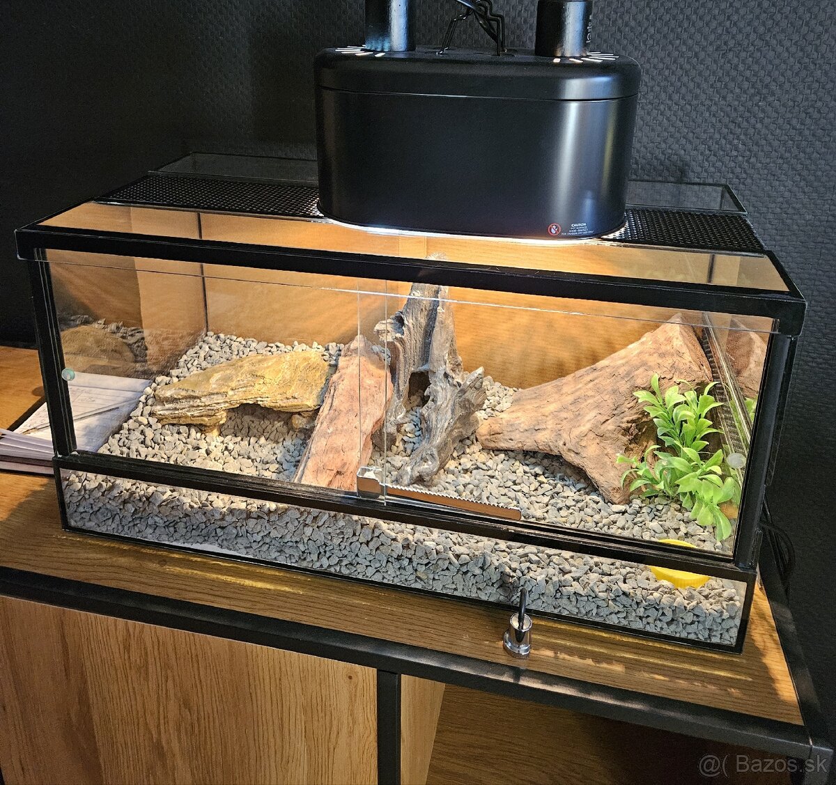 Terarko terrarium na mieru zo všetkým