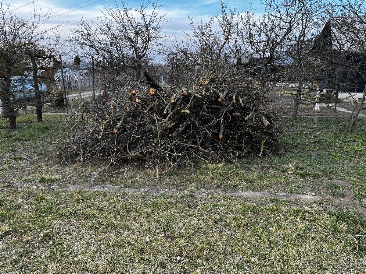 Darujem za odvoz